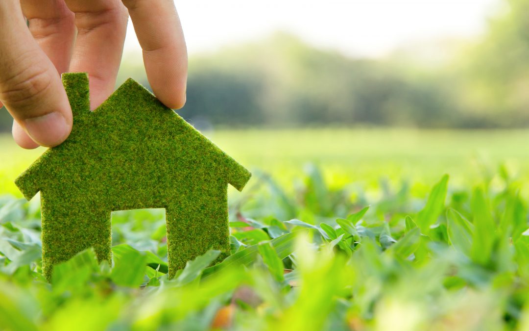 Go Green With An Energy Efficient Home
